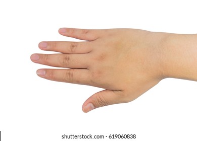 Hands Vital Organs Our Human Body Stock Photo (Edit Now) 619060772