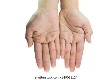 Hands Vital Organs Our Human Body Stock Photo 619081124 | Shutterstock