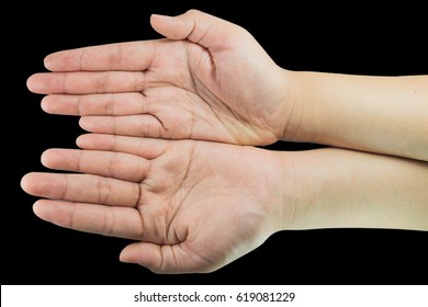 Hands Vital Organs Our Human Body Stock Photo 619081229 | Shutterstock