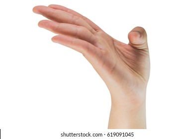 Hands Vital Organs Our Human Body Stock Photo 619091045 | Shutterstock