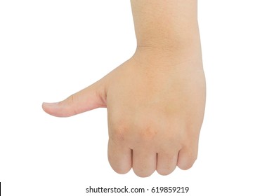 Hands Vital Organs Our Human Body Stock Photo 619859219 | Shutterstock