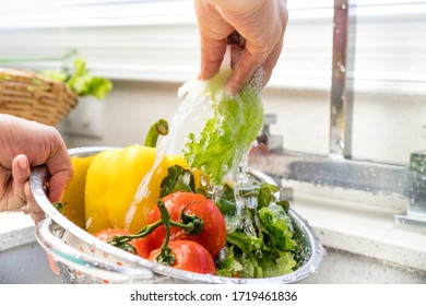 hands washing vegetables ( peppers, lettuce and tomatoes ) at home kitchen - Powered by Shutterstock