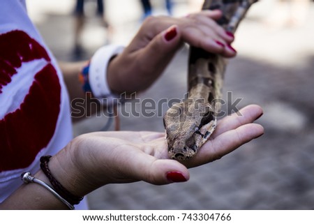 Hands of woman caressing a serpent