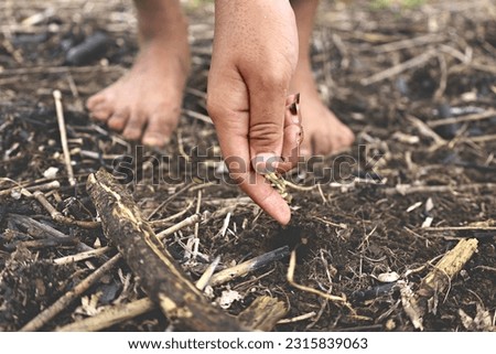 Hands of a woman farming.