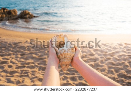 Hands of a woman holding a large seashell on a beach at sunset.