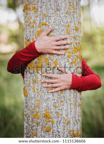 hands of woman hugging a tree