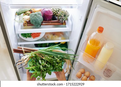 Hands Of Woman Loading Fridge With Food And Putting Plate With Fresh Greens On The Shelf