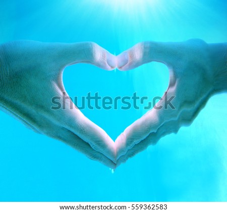 Hands Woman Make Heart Shape Sign Stock Photo Edit Now 559362583