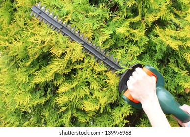 Hands Of Woman Uses A Gas Powered Hedge Trimmer