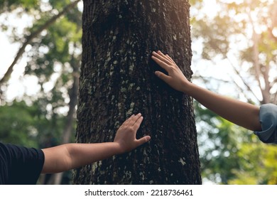 Hands Of Women And Small Child Touching Old Trees On Huge Tree Trunks. Love And Protect Nature Concept. Green Eco-friendly Lifestyle. Protect From Deforestation And Pollution Or Climate Change