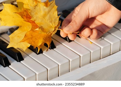 hands and yellow autumn leaves on the old piano keyboard on a bright sunny day, the concept of music and autumn mood - Shutterstock ID 2355234889