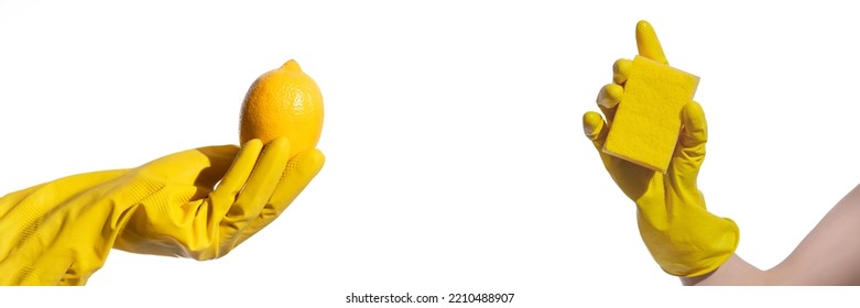 Hands In Yellow Rubber Gloves For Cleaning Hold A Sponge And A Lemon On A White Background; Natural Cleaning Products For Home And Kitchen; Professional Cleaning