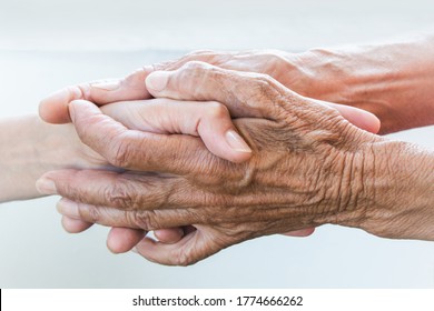 Hands of young adults and older women on a light background