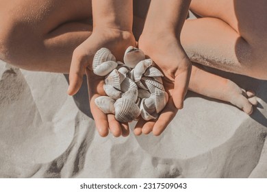 The hands of a young girl hold a bunch of shells sitting on the beach sand close up. - Powered by Shutterstock