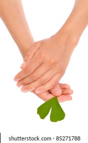 Hands Of Young Woman Holding Ginkgo Leaf