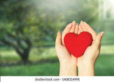 Hands Of Young Woman Holding Red Heart