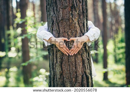 hands of a young woman hug a tree in the forest and show a sign of heart and love for nature