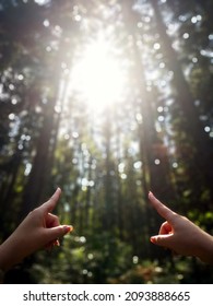 Hands Of Young Woman Pointing The Sun Shining Through Blurry Tree Trunks In Forest. Concept Of Hope And Happiness, Positive Emotions And Strong Belief That The Better Days Will Surely Come