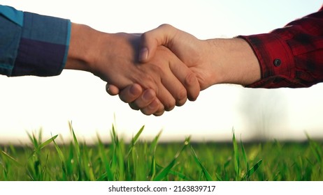 handshake agriculture. hands of group farmer business make a contract in the field. farmer handshake shaking hands on green field background crop. business market agriculture concept.