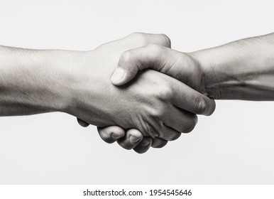 Handshake, Arms Friendship. Friendly Handshake, Friends Greeting, Teamwork, Friendship. Close-up. Rescue, Helping Gesture Or Hands. Strong Hold. Two Hands, Helping Hand Of A Friend. Black And White.