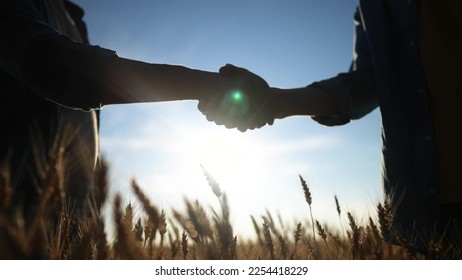 handshake farmer wheat. business partnership agriculture concept. silhouette two farmers shaking hands conclude a contract agreement in a field sun of wheat glare. agriculture handshake concept - Powered by Shutterstock