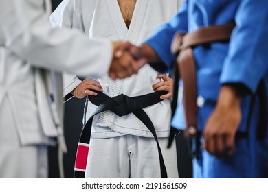 Handshake, karate and martial arts teamwork in competition, challenge and combat fight in wellness studio. Black belt trainer and sports fitness coach in gym workout, exercise and training for - Powered by Shutterstock