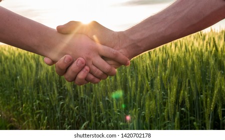 Handshake Two Farmer On The Background Of A Wheat Field With Sun Glare