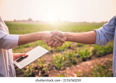 Handshake two farmer on the background of a wheat field at sunset. The concept of the agricultural business. farmer holding hands with beautiful woman with notebook in corn field. - Shutterstock ID 2176760259
