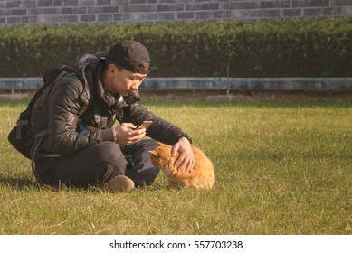 Handsome Asian Young Man Sitting On The Meadow Playing With A Cat Holding A Smart Phone