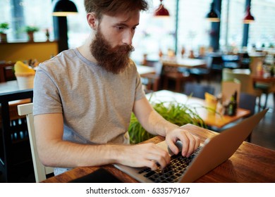 Handsome bearded financial manager sitting in lovely small coffeehouse and preparing annual accounts on laptop, waist-up portrait
