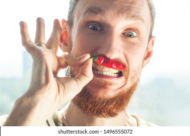 Handsome Bearded Man With Blue Eyes Holds In Hand And Bites A Red Hot Chili Pepper And Smiles. Harvest, Farming, Savory Restaurant Dishes, Healthy Eating. Spicy Food Wallpaper.