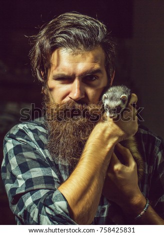 handsome bearded man hipster with stylish haircut and beard in checkered shirt has serious face, holds cute small polecat or ferret pet with grey fur