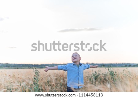 handsome blonde boy cute smiling on a wheat field background