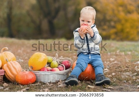 Similar – Image, Stock Photo Little girl looking apples in basket with harvest