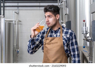 Handsome brewer in apron testing beer at brewery. High quality photography.