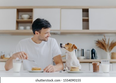 Handsome brunet male looks gladfully at his pet, has sweet dessert for breakfast, enjoys weekend has good relationship with pet pose at kitchen interior in modern apartment. People, nutrition, animals