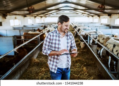 Handsome caucasian farmer in plaid shirt and jeans using tablet and looking at calves while standing in stable. - Powered by Shutterstock