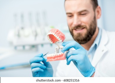 Handsome Dentist Showing Artificial Jaw At The Dental Office