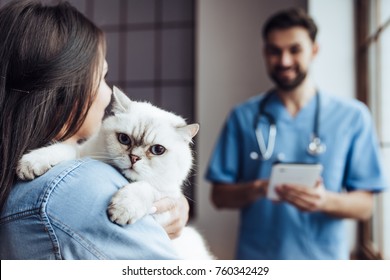 Handsome Doctor Veterinarian At Vet Clinic Is Examining Cute Cat While His Owner Is Standing Nearby And Holding Pet On Hands.