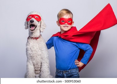 Handsome Little Superman With Dog. Superhero. Royal Poodle. Studio Portrait Over White Background