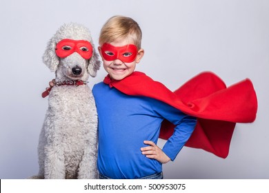 Handsome little superman with dog. Superhero. Royal Poodle. Studio portrait over white background