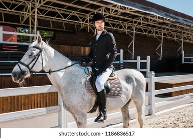 Handsome Male Equestrian Riding White Horse At Horse Club