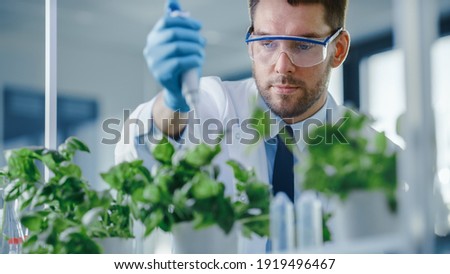 Handsome Male Microbiologist Adding Biological Nutritional Supplement, Vitamins and Minerals from a Pipette to Growing Green Plants. Medical Scientist Working in a Modern Food Science Laboratory.