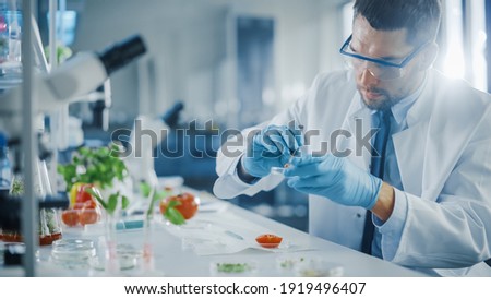 Handsome Male Microbiologist in Safety Glasses Examining Tomato's Locular Seed Cavities with Forceps and Putting a Sample in a Dish. Medical Scientist Working in a Modern Food Science Laboratory.