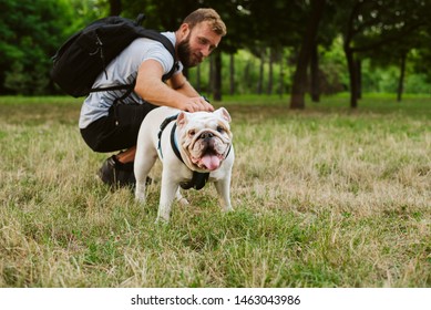 A handsome man with a beard with his dog English Bulldog in the park