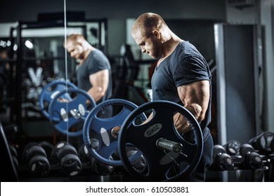 Handsome Man With Big Muscles, Posing In The Gym Muscular Man Lifting Weights Over Dark Background Muscular Man Working Out In Gym Doing Exercises With Barbell At Biceps Strong Male