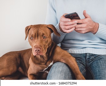 Handsome man and a charming puppy. Close-up, indoors. Studio photo, white color. Concept of care, education, obedience training and raising pets - Powered by Shutterstock