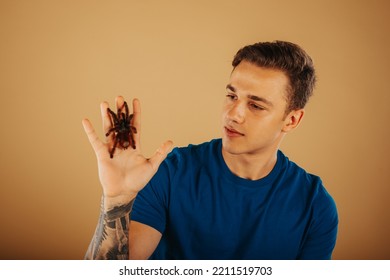 Handsome Man Holding His Tarantula While Sitting At The Studio