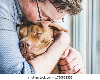 Handsome man hugging a charming puppy. Close-up, indoors. Studio photo, white color. Concept of care, education, obedience training and raising pets