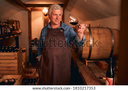 Handsome man looking at glass of alcoholic drink and smiling while standing in wine cellar Zdjęcia stock © 